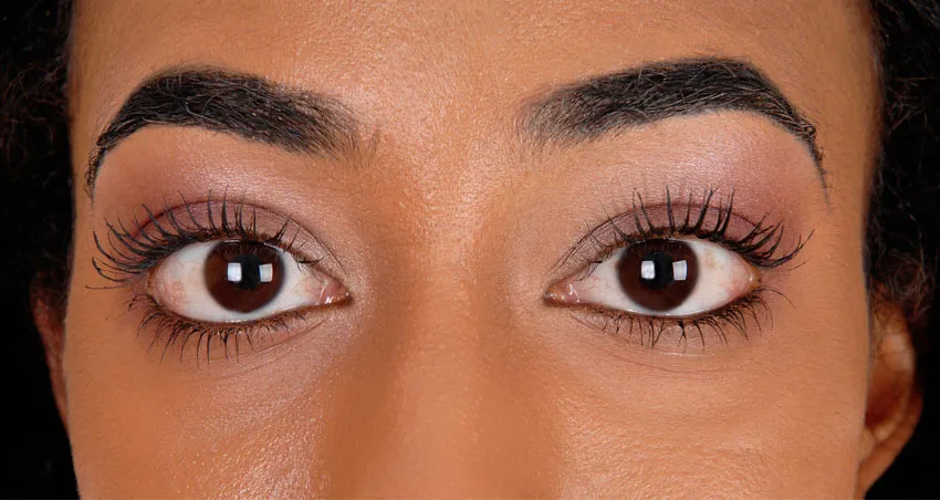 african-american-brows2-850